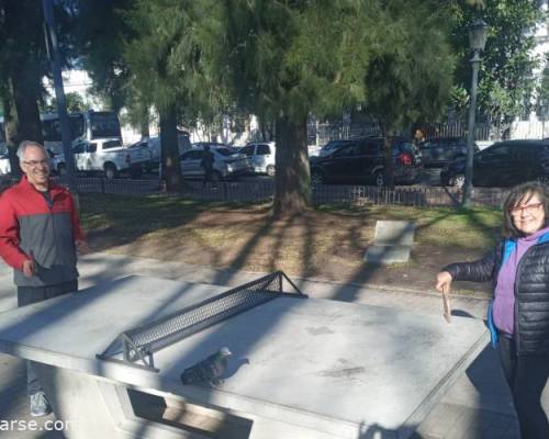 31847 5 Ping Pong venite a jugar y compartir un rato en Devoto