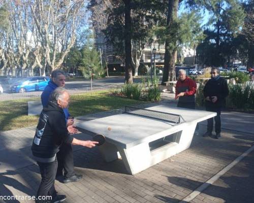 31847 7 Ping Pong venite a jugar y compartir un rato en Devoto
