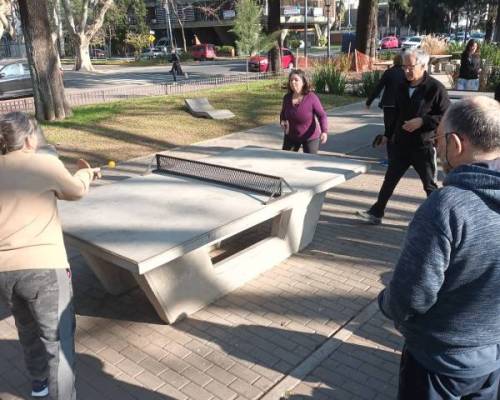 31914 1 Ping Pong venite a jugar y compartir un rato en Devoto
