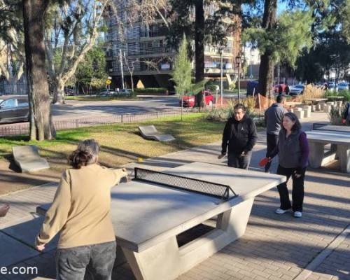 31914 5 Ping Pong venite a jugar y compartir un rato en Devoto
