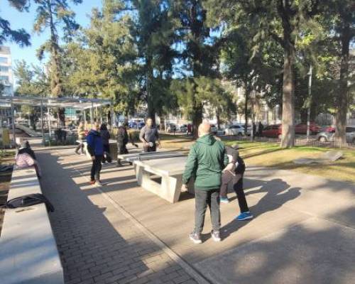 31914 7 Ping Pong venite a jugar y compartir un rato en Devoto