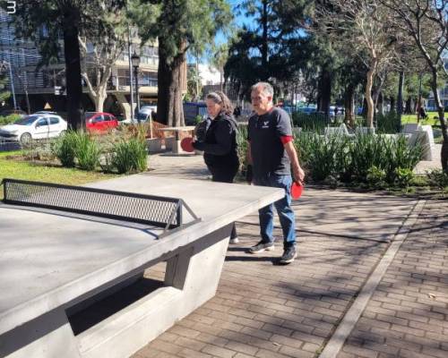 32066 4 Ping Pong venite a jugar y compartir un rato en Devoto
