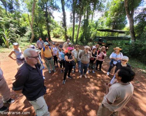 32082 5 4 Días Full en Cataratas para recargarte de vida ! 