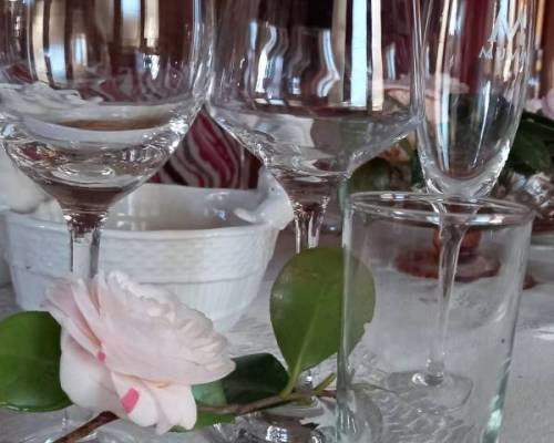 32237 1 VINOS Y ROUGE