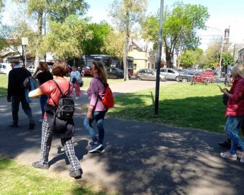 32238 25 Buscando el Sol de Primavera en Saavedra
