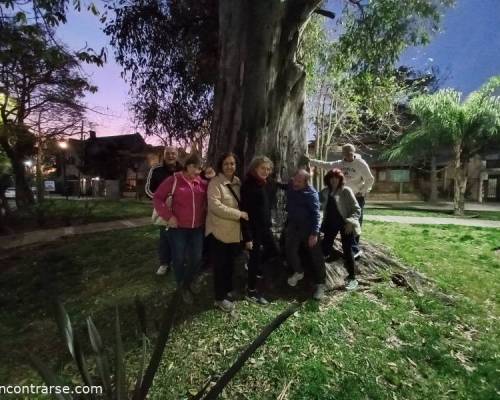 32292 10 EL DIA DEL MAESTRO NOS REUNIMOS PARA CAMINAR