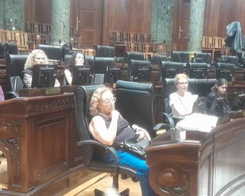 32313 13 Visita Guiada gratuita al Palacio Legislativo