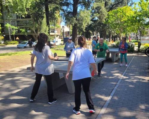32509 5 Ping Pong venite a jugar y compartir un rato en Devoto