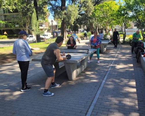 32509 6 Ping Pong venite a jugar y compartir un rato en Devoto