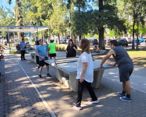 32631 3 Ping Pong venite a jugar y compartir un rato en Devoto