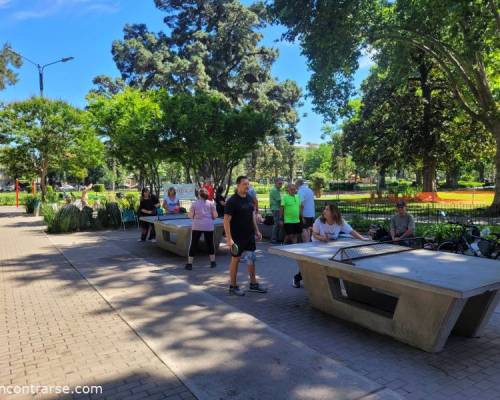 32769 13 Ping Pong venite a jugar y compartir un rato en Devoto