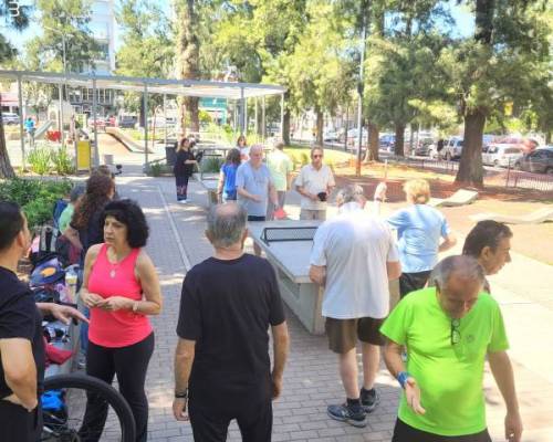 32769 4 Ping Pong venite a jugar y compartir un rato en Devoto
