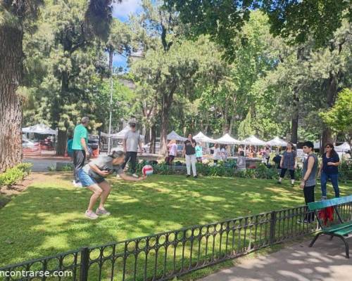 32888 5 PIMPONEAMOS EN VILLA DEVOTO
