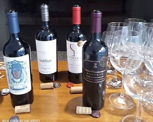32892 20 DIA DEL CABERNET FRANC ¿CELEBRAMOS JUNTOS?