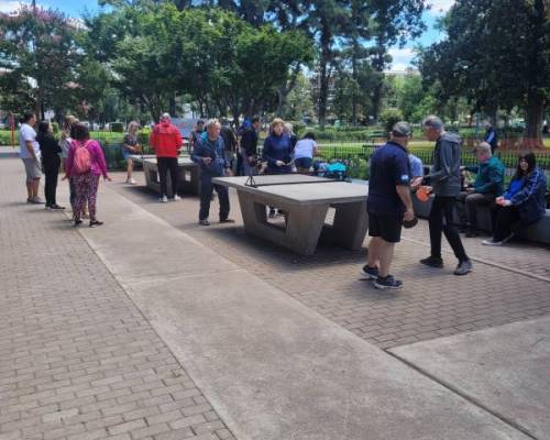 32989 3 Ping Pong venite a jugar y compartir un rato en Devoto