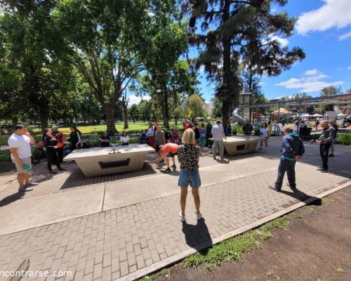 32989 8 Ping Pong venite a jugar y compartir un rato en Devoto