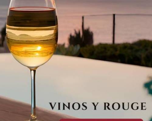 33013 1 VINOS Y ROUGE- 3ra. edición- VINOS 