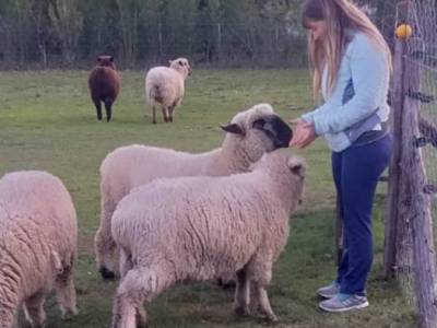 Encuentro Día de Campo en Carlos Keen!!