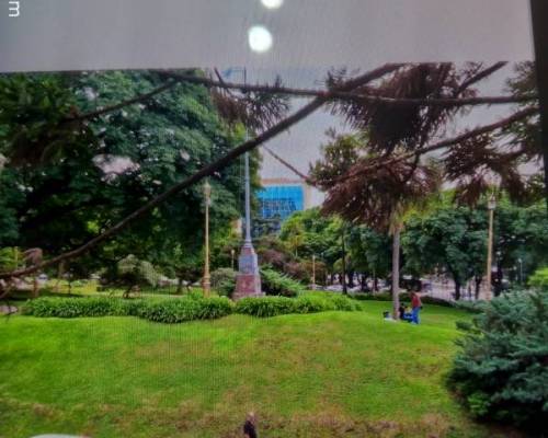 32959 7 BELGRANO y barrio Chino un paseo que es re fino.