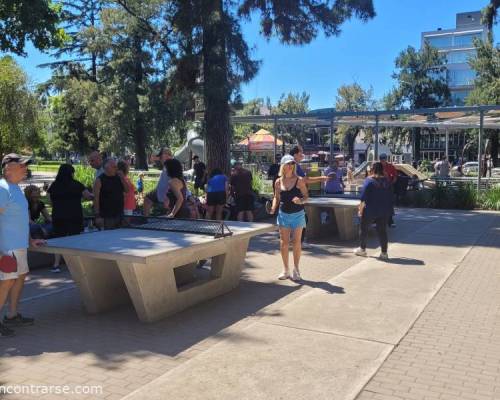 33117 6 Ping Pong venite a jugar y compartir un rato en Devoto