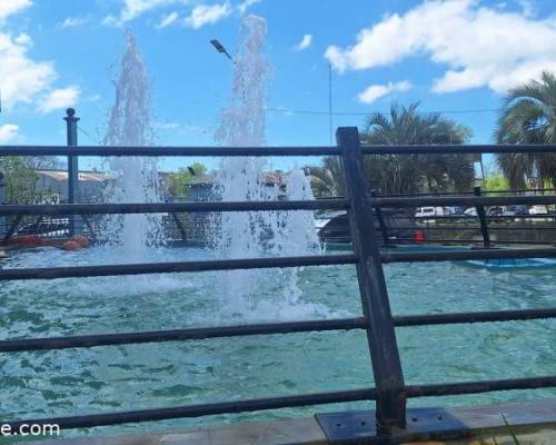 33146 11 TIGRE + Puerto de Frutos y parque color y risas !!!!