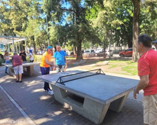 33243 6 Ping Pong venite a jugar y compartir un rato en Devoto