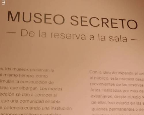 33295 1 MUSEO DE BELLAS ARTES  (Colección oculta) Obras nunca expuestas.