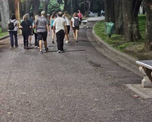 33550 44 Caminatas y algo más... (Ejercicios y elongación) 