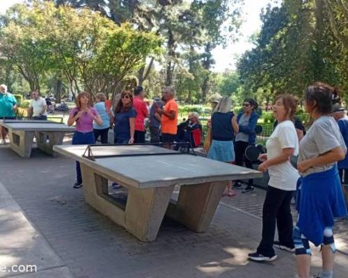 33588 5 PIMPONEAMOS EN VILLA DEVOTO
