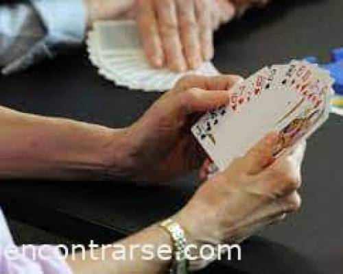 33593 1 Bridge para principiantes