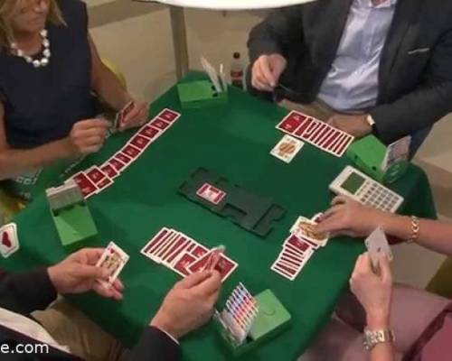 33593 3 Bridge para principiantes