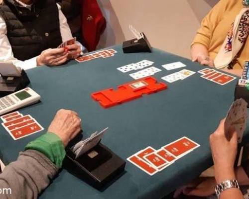 33593 4 Bridge para principiantes