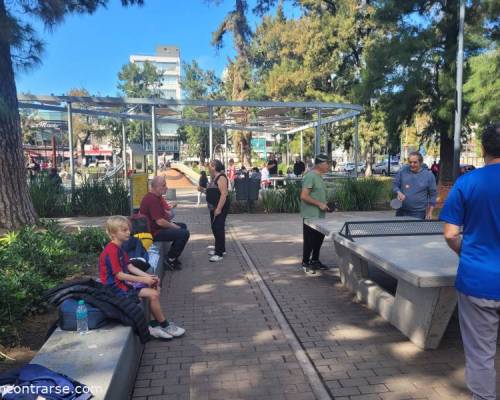 33774 1 Ping Pong venite a jugar y compartir un rato en Devoto