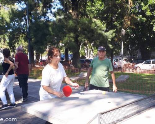 33774 11 Ping Pong venite a jugar y compartir un rato en Devoto