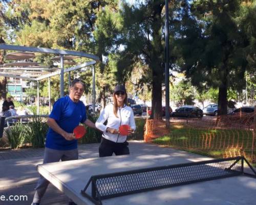 33774 14 Ping Pong venite a jugar y compartir un rato en Devoto