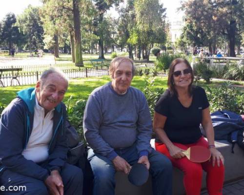 33774 15 Ping Pong venite a jugar y compartir un rato en Devoto