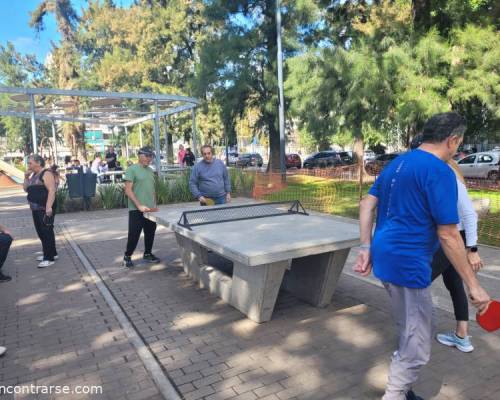 33774 3 Ping Pong venite a jugar y compartir un rato en Devoto