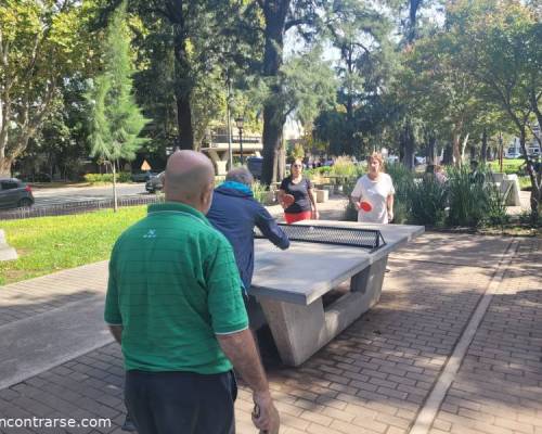 33774 4 Ping Pong venite a jugar y compartir un rato en Devoto