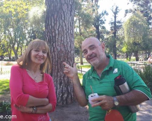 33774 5 Ping Pong venite a jugar y compartir un rato en Devoto