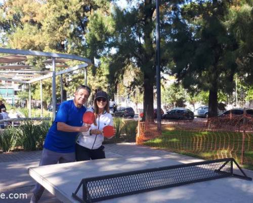33774 6 Ping Pong venite a jugar y compartir un rato en Devoto