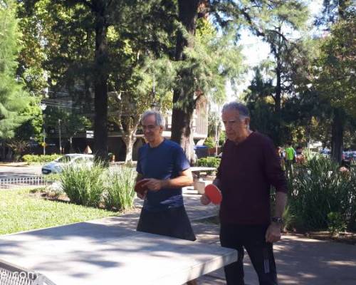 33774 9 Ping Pong venite a jugar y compartir un rato en Devoto