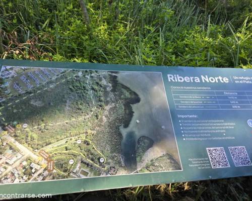 33813 20 Este domingo nos vamos al ...PARQUE NATURAL MUNICIPAL RIBERA NORTE. + Merienda en en un lindo resto/ bar EL MOLINO.