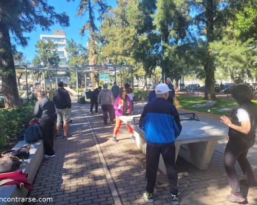 33862 8 Ping Pong venite a jugar y compartir un rato en Devoto