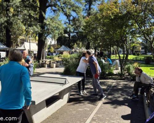 33904 5 PIMPONEAMOS EN VILLA DEVOTO