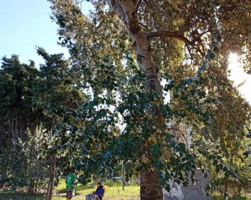 34059 14 CAMINATA SÚPER TRANQUI MÁS SOCIAL QUE DEPORTIVA