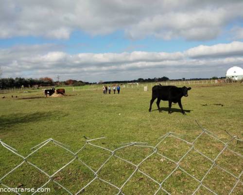 34145 5 Día de Campo en Carlos Keen!!