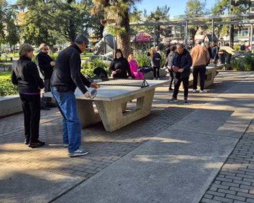 34259 14 PIMPONEAMOS EN VILLA DEVOTO