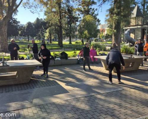 34259 16 PIMPONEAMOS EN VILLA DEVOTO