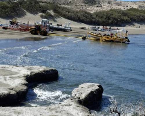 34324 81 FESTEJEMOS LA PRIMAVERA EN PTO.MADRYN