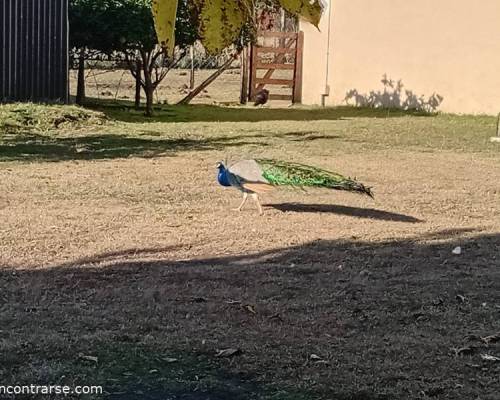 34355 11 Día de Campo en Carlos Keen!!